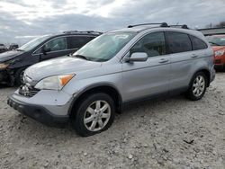 Honda CRV salvage cars for sale: 2007 Honda CR-V EXL