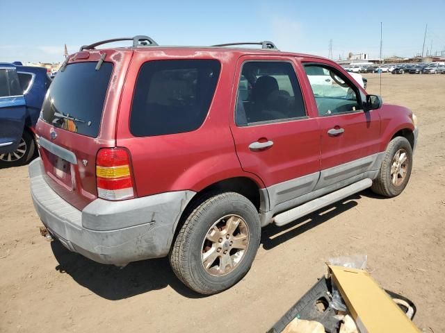 2006 Ford Escape XLT