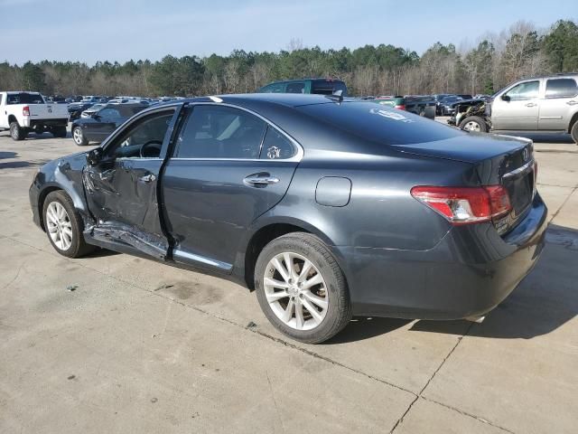 2010 Lexus ES 350