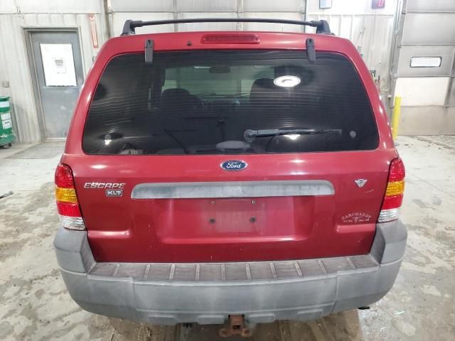 2007 Ford Escape XLT