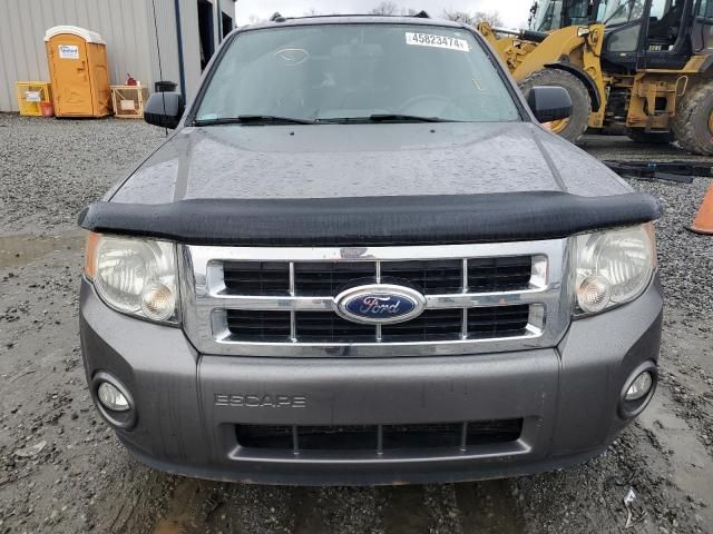 2012 Ford Escape XLT