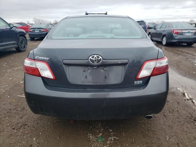 2007 Toyota Camry Hybrid