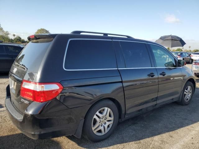 2005 Honda Odyssey EXL