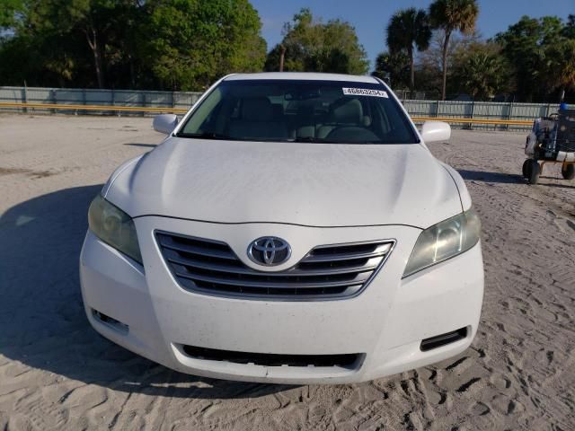 2008 Toyota Camry Hybrid