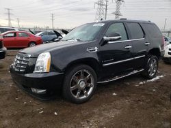 Salvage cars for sale from Copart Elgin, IL: 2008 Cadillac Escalade Luxury