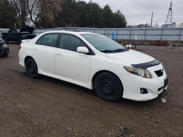 2010 Toyota Corolla Base