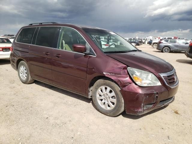 2010 Honda Odyssey EXL