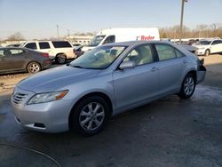 Salvage cars for sale from Copart Louisville, KY: 2009 Toyota Camry Base