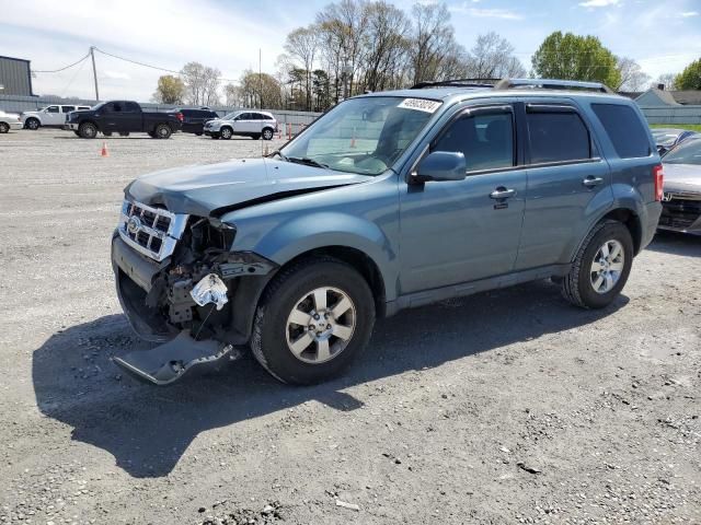 2011 Ford Escape Limited