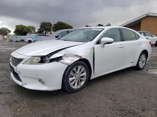 2013 Lexus ES 300H