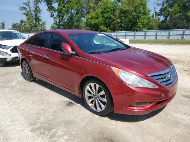 2011 Hyundai Sonata SE