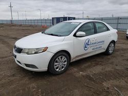 Salvage cars for sale at Greenwood, NE auction: 2012 KIA Forte EX