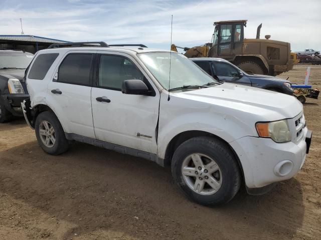 2009 Ford Escape Hybrid