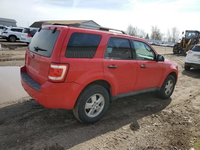 2009 Ford Escape XLT