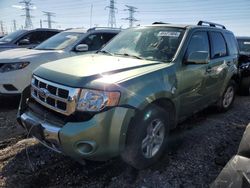 Salvage cars for sale at Elgin, IL auction: 2008 Ford Escape HEV