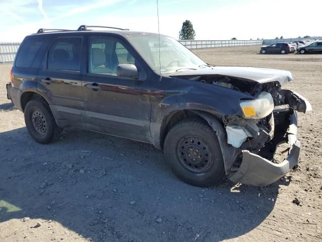 2007 Ford Escape XLT