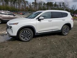 Salvage cars for sale at Waldorf, MD auction: 2022 Hyundai Santa FE SEL