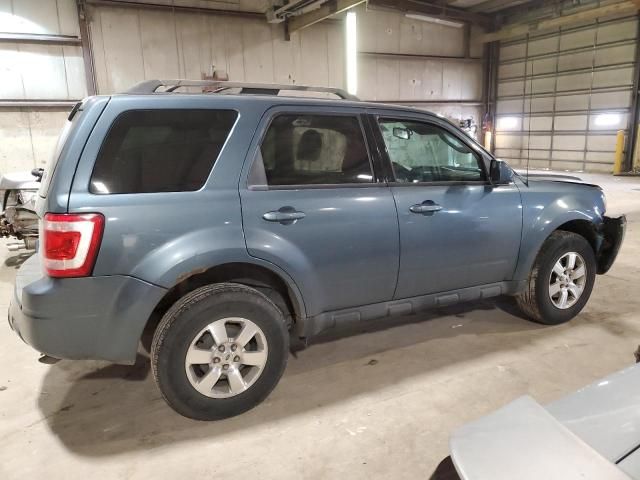 2011 Ford Escape Limited