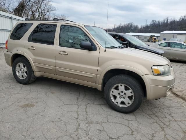 2007 Ford Escape Limited