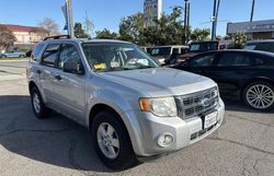 2010 Ford Escape XLT for sale in Sun Valley, CA