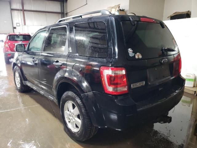 2010 Ford Escape XLT