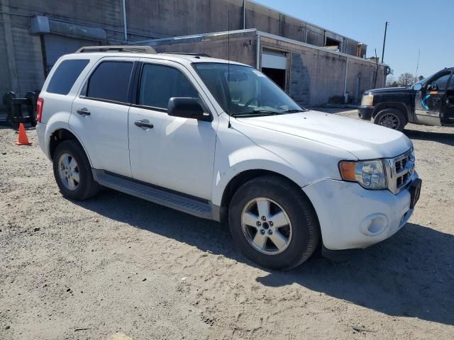 2010 Ford Escape XLT