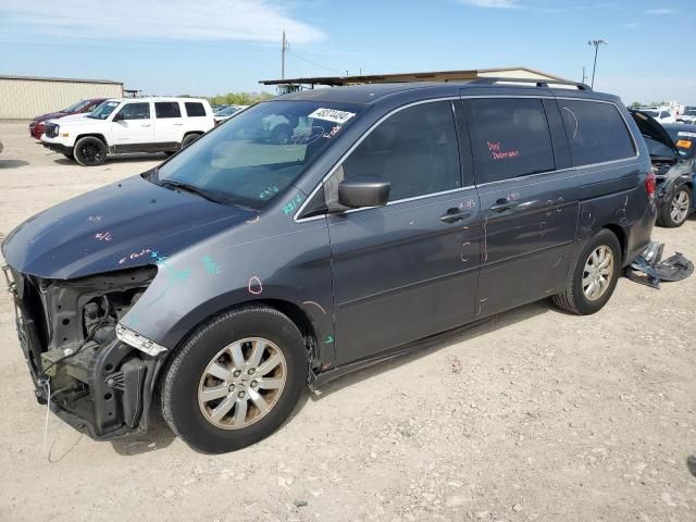 2010 Honda Odyssey EXL