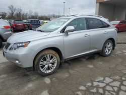 Salvage cars for sale at Fort Wayne, IN auction: 2010 Lexus RX 450
