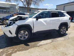 Salvage cars for sale at Albuquerque, NM auction: 2024 Toyota Rav4 LE