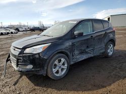 Salvage cars for sale from Copart Rocky View County, AB: 2013 Ford Escape SE