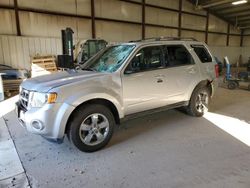 Salvage cars for sale at Lansing, MI auction: 2011 Ford Escape Limited