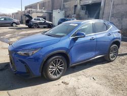 Salvage cars for sale from Copart Fredericksburg, VA: 2024 Lexus NX 350 Base