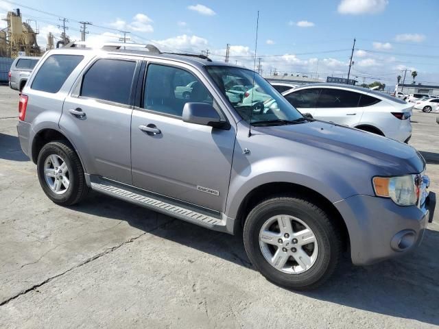 2008 Ford Escape HEV