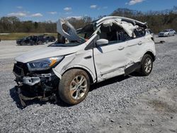 Ford Escape salvage cars for sale: 2019 Ford Escape SE