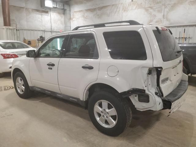 2011 Ford Escape XLT