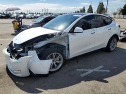 Vehiculos salvage en venta de Copart Rancho Cucamonga, CA: 2023 Tesla Model Y