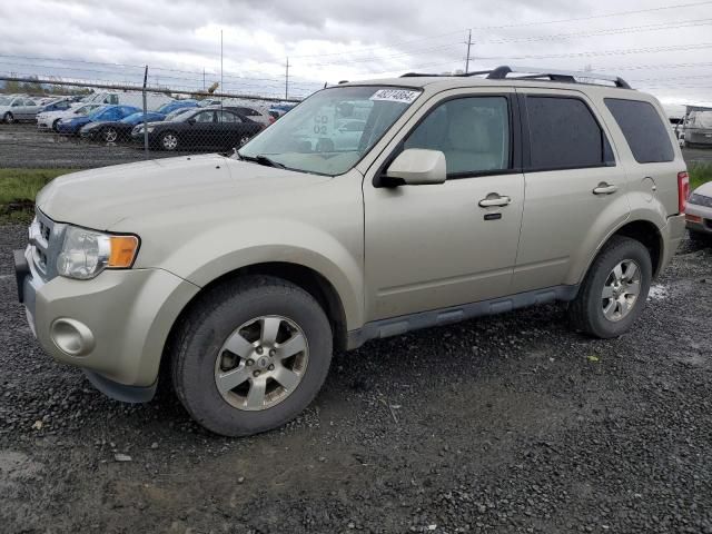 2012 Ford Escape Limited