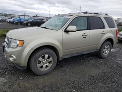 Ford Escape Limited salvage cars for sale: 2012 Ford Escape Limited