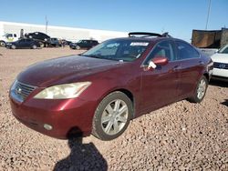 Lexus ES 350 salvage cars for sale: 2008 Lexus ES 350