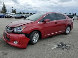 Lexus salvage cars for sale: 2010 Lexus HS 250H