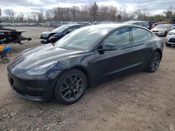 Salvage cars for sale from Copart Chalfont, PA: 2021 Tesla Model 3