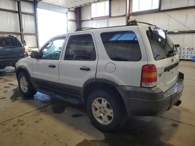 2006 Ford Escape XLT