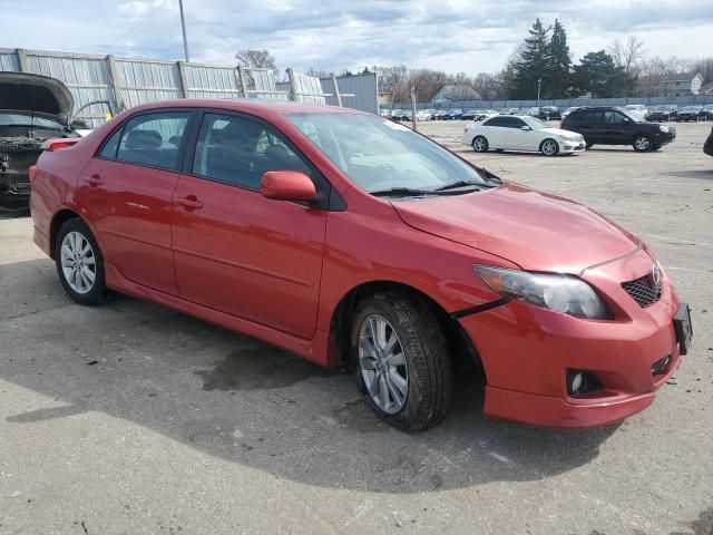 2010 Toyota Corolla Base