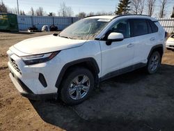 Salvage cars for sale from Copart Ontario Auction, ON: 2023 Toyota Rav4 XLE