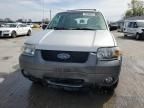 2006 Ford Escape XLT