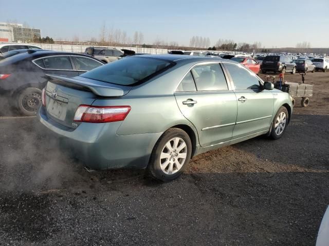 2009 Toyota Camry Hybrid