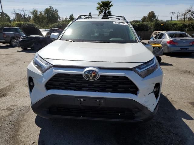 2023 Toyota Rav4 XLE Premium