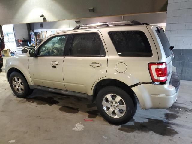 2011 Ford Escape Limited