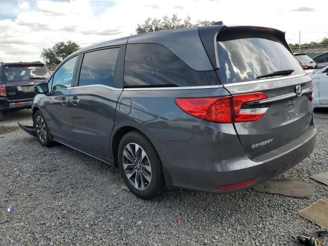 2024 Honda Odyssey EXL