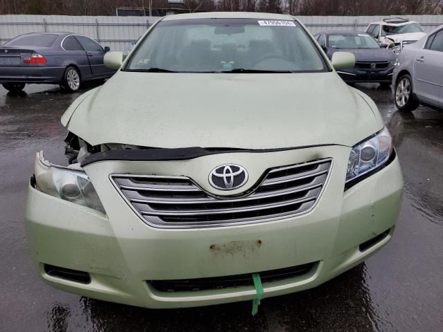 2009 Toyota Camry Hybrid